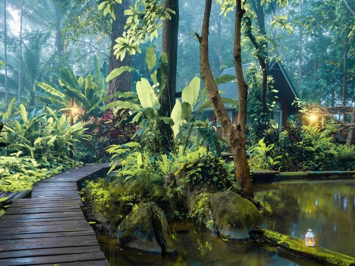 Walking Paths